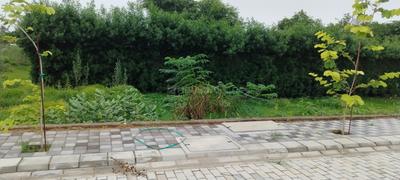 Image of 120 Sq.ft Residential Plot / Land for sale in Mansha Orchid, Sector 110, Faridabad for Rs. 10148000