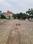 skygreen Plot View 2