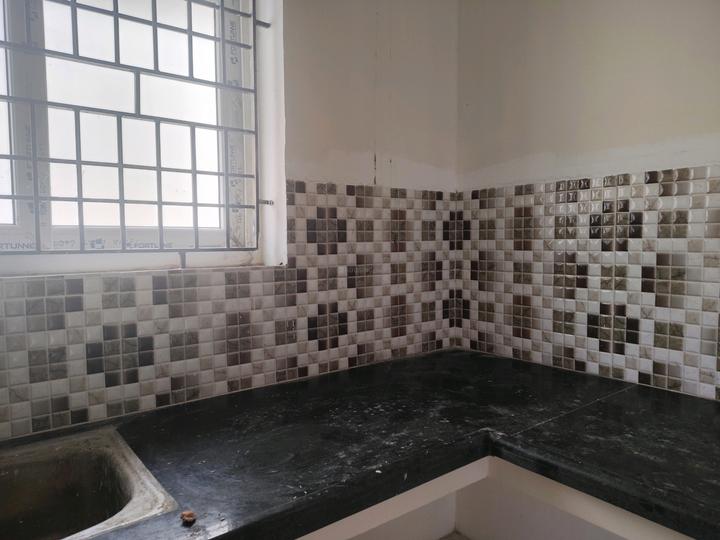 Arboretum Gemini Aster Main Image 1