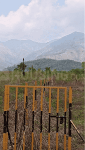 Image of 1000 Sq.ft Residential Plot / Land for sale in Dharmawala, Dehradun for Rs. 22000000