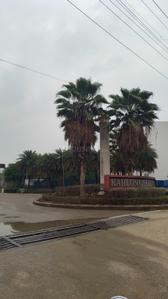 Image of 2000 Sq.ft 2 BHK Builder Floor for rent in Kahlon Sehkari Awas Samiti Garden City II, Baraulikhalilabad, Lucknow for Rs. 14500