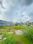 Shakti Associates Plot View 2