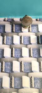 Image of 590 Sq.ft 2 BHK Apartment / Flat for sale in Kolkata Airport Quarters, Kolkata for Rs. 2400000