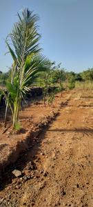 Image of 10764 Sq.ft Residential Plot / Land for sale in Murbad, Thane for Rs. 3000000