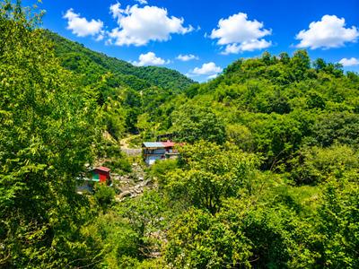 Image of 322 Sq.ft Residential Plot / Land for sale in Kuthal Gaon, Dehradun for Rs. 17388000