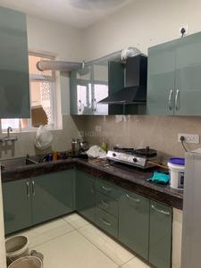 Kitchen Image of 1650 Sq.ft 3.5 BHK Independent House for rent in Gillco Valley, Sector 127 Mohali for Rs. 30000