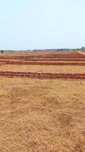 Jagannath New Colony Plot View 3