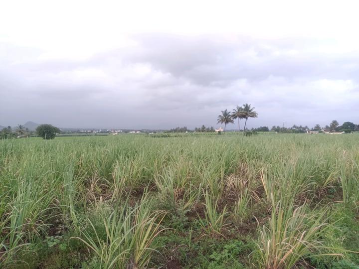 Belondakhar Main Image 1