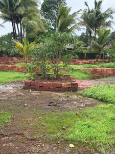 Image of 24976 Sq.ft Residential Plot / Land for sale in Niwali, Ratnagiri for Rs. 9000000