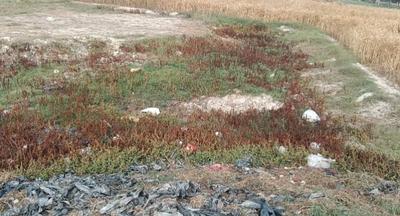 Ram Nagar Plot View 2