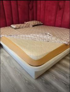 Bedroom Image of 1440 Sq.ft 2 BHK Apartment / Flat for rent in Blue Diamond Dilpasand Green, Scheme No 140 Indore for Rs. 35000