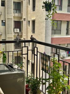 Balcony Image of 948 Sq.ft 2 BHK Apartment / Flat for sale in Signum Windflower, Madhyamgram Kolkata for Rs. 6200000