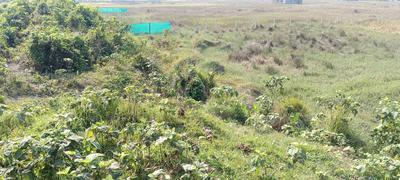 arapanch Plot View 1