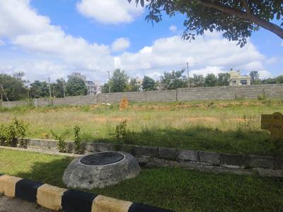 Residential Plot