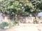 Azad Colony Plot View 2