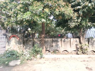 Azad Colony Plot View 2