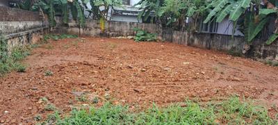 Vanguard Plot View 3