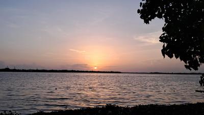 Image of 13066 Sq.ft Residential Plot / Land for sale in Maradu, Kochi for Rs. 36000000