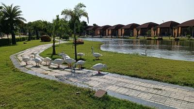 Image of 900 Sq.ft Residential Plot / Land for sale in Chaksu, Jaipur for Rs. 170000