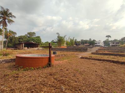 Image of 10000 Sq.ft Residential Plot / Land for sale in Mulanthuruthy, Kochi for Rs. 499000