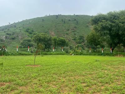 Image of 5000 Sq.ft Residential Plot / Land for sale in Naugaon, Alwar for Rs. 14800000