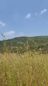 Image of 11000 Sq.ft Residential Plot / Land for sale in Bhor, Pune for Rs. 2100000
