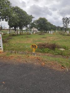 Residential Plot