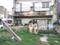 Sector 16A Plot View 1