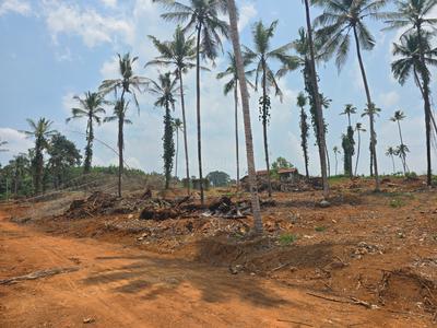 Image of 76176 Sq.ft Residential Plot / Land for sale in Kanjirappally, Kottayam for Rs. 26250000