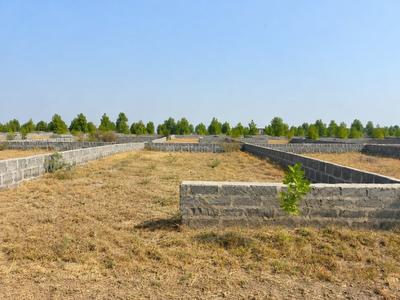 Image of 111 Sq.ft Residential Plot / Land for sale in Dholera Global City, Dholera, Ahmedabad for Rs. 999000