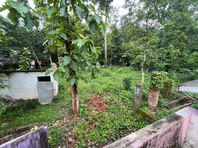 Image of 2500 Sq.ft 4 BHK Villa for sale in Vallamkulam, Eraviperoor, Pathanamthitta for Rs. 30000000