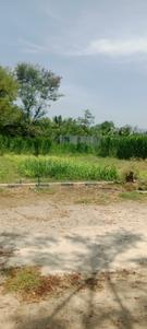 Image of 2574 Sq.ft Residential Plot / Land for sale in Patthaoru, Tirupathi for Rs. 2500000