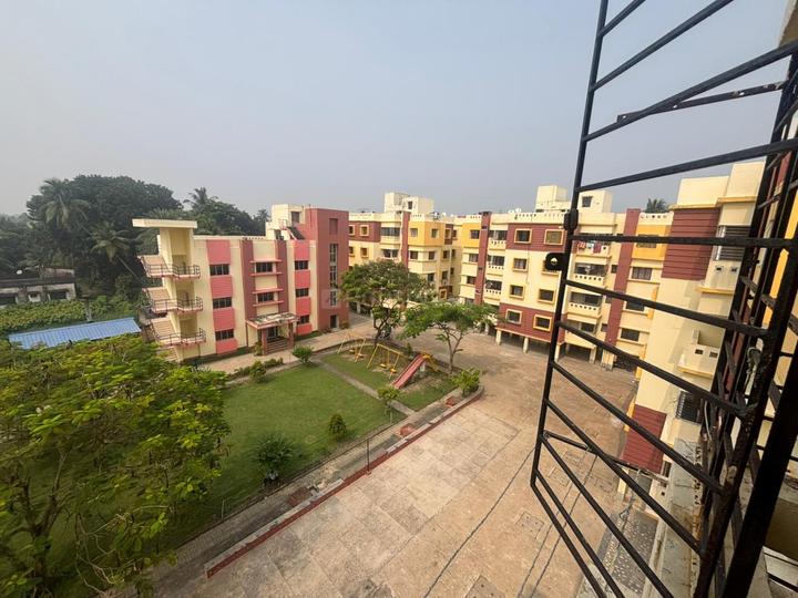 Merlin Trinoyoni Main Image 1