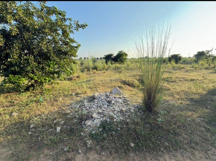 Jaisinghpura Kankroda Main Image 1