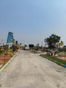 golden terra Plot View 1
