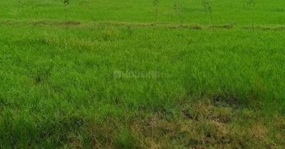 Image of 200 Sq.ft Residential Plot / Land for sale in Sector-02, Bahadurgarh for Rs. 18500000