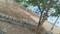 Jayanagara hosing sosiety Plot View 2