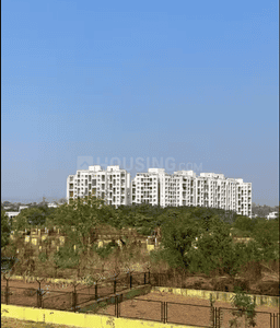 Pirangut Plot View 3