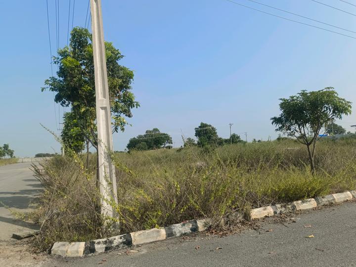 Devender Colony Plot View 1