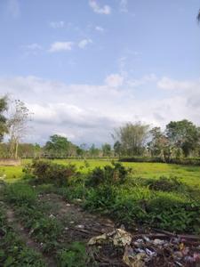 Image of 8640 Sq.ft 3 BHK Independent House for sale in Kaliapani Grant, Jorhat for Rs. 9800000