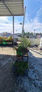 Image of 1080 Sq.ft 2 BHK Builder Floor for sale in Canal Road, Dehradun for Rs. 6000000