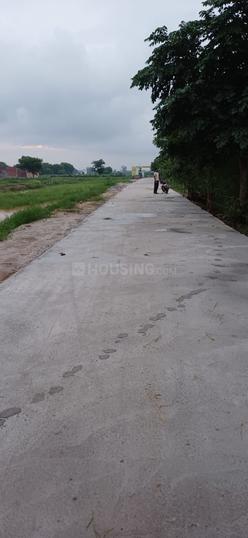 sky wood city agra Main Image 1