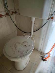 Common Bathroom Image of 1050 Sq.ft 2 BHK Apartment / Flat for sale in Haware Splendor, Kharghar Navi Mumbai for Rs. 15500000