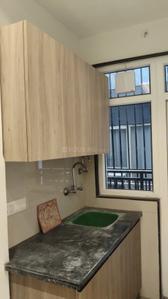 Kitchen Image of 1236 Sq.ft 1 RK Independent House for rent in Sector 30 Gurgaon for Rs. 26000