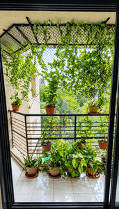 Image of 850 Sq.ft 2 BHK Apartment / Flat for rent in Suncity Complex, Powai, Mumbai for Rs. 75000
