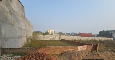 Anora Kala Plot View 2
