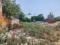 Sector 45 Plot View 2