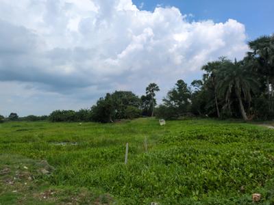Bratachari Gram Plot View 1