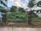 Vakalapudi Plot View 2
