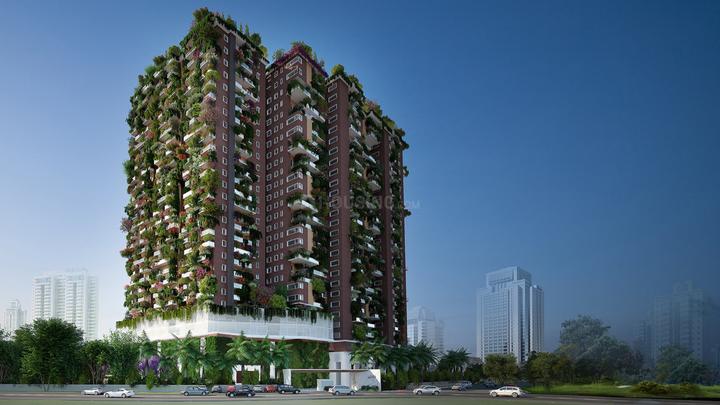 The Origin by 360 Life Main Image 1